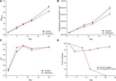 Biomineralization of Sr by the Cyanobacterium Pseudanabaena catenata Under Alkaline Conditions